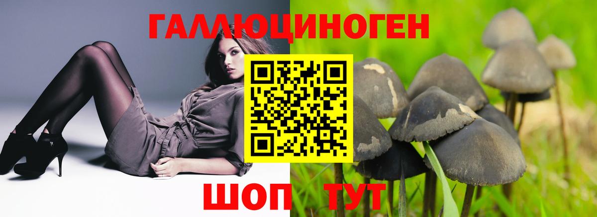 Псилоцибиновые грибы прущие грибы  Вход с VPN  купить наркотик  Стрежевой 